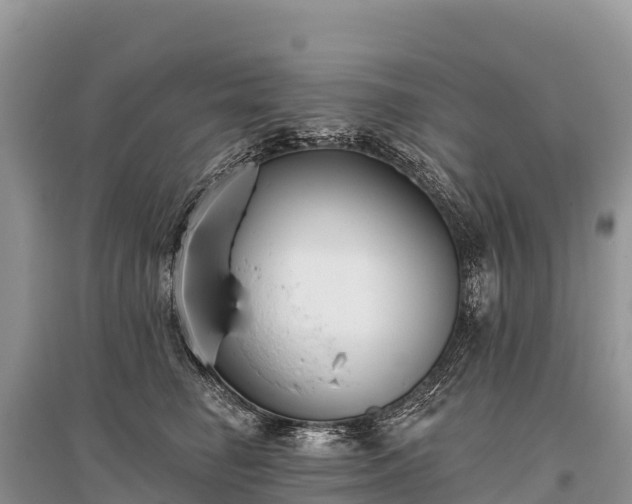 X0000096150662200801251105