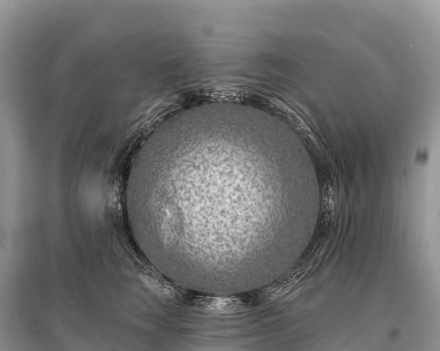X0000096150663200801251105