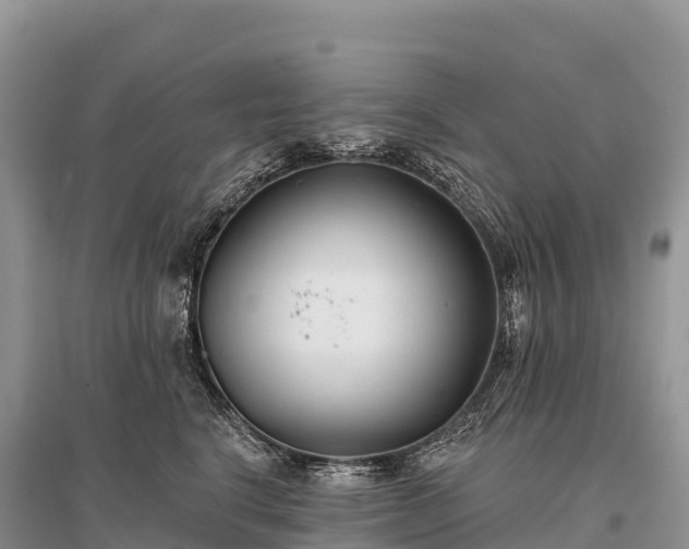X0000096150664200801251105