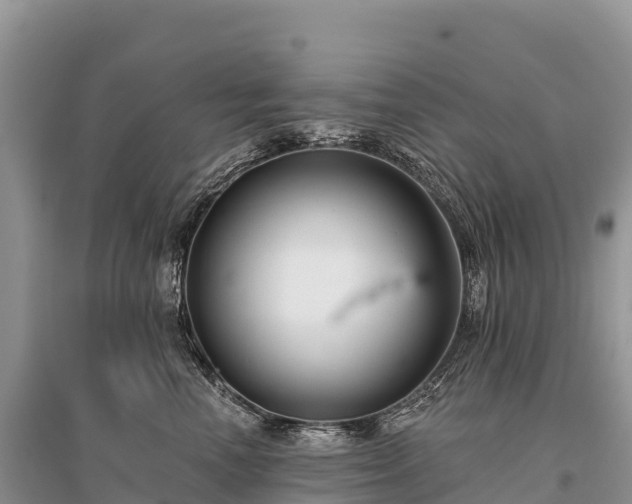 X0000096150666200801251105