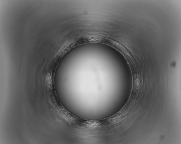 X0000096150667200801251105