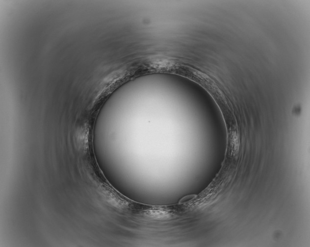 X0000096150668200801251105