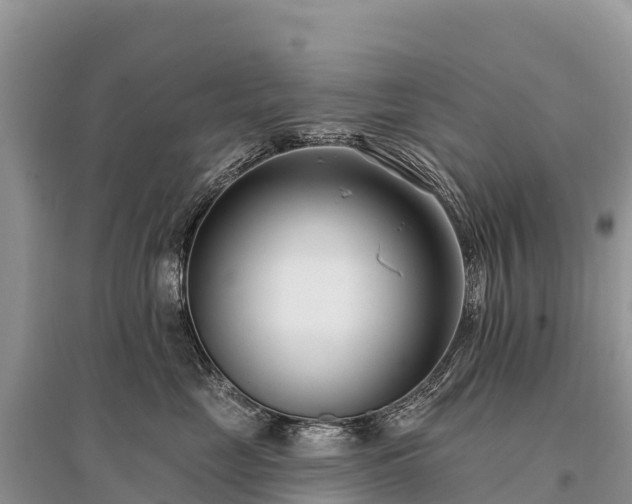 X0000096150669200801251105