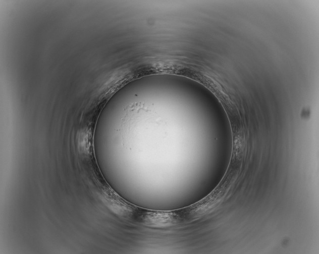X0000096150671200801251106