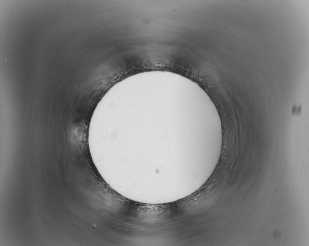 X0000096150672200801251106