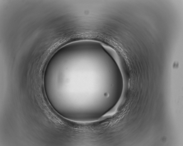 X0000096150673200801251105