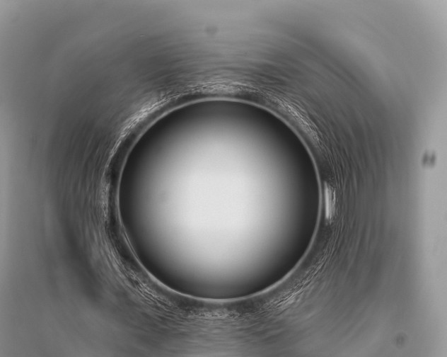 X0000096150675200801251105