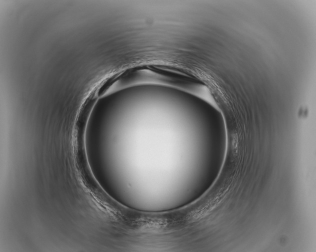 X0000096150676200801251105