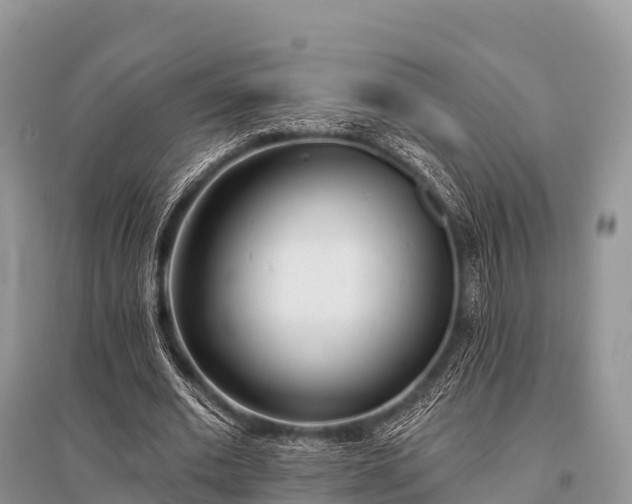 X0000096150677200801251105