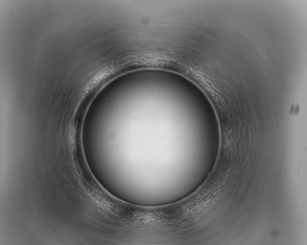 X0000096150679200801251105