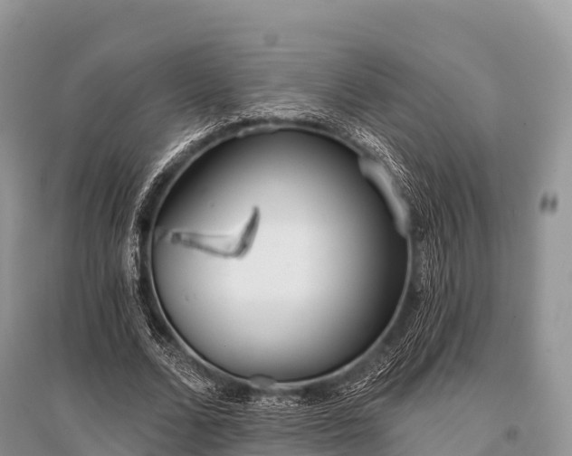 X0000096150680200801251105
