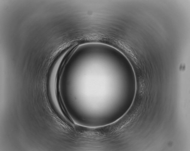 X0000096150681200801251105
