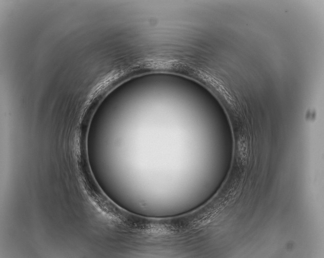 X0000096150682200801251105