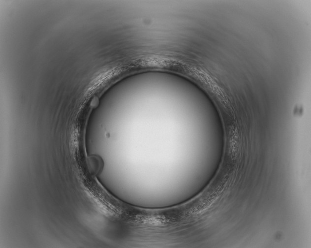X0000096150683200801251105