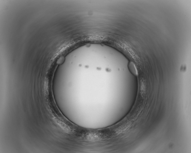 X0000096150684200801251105