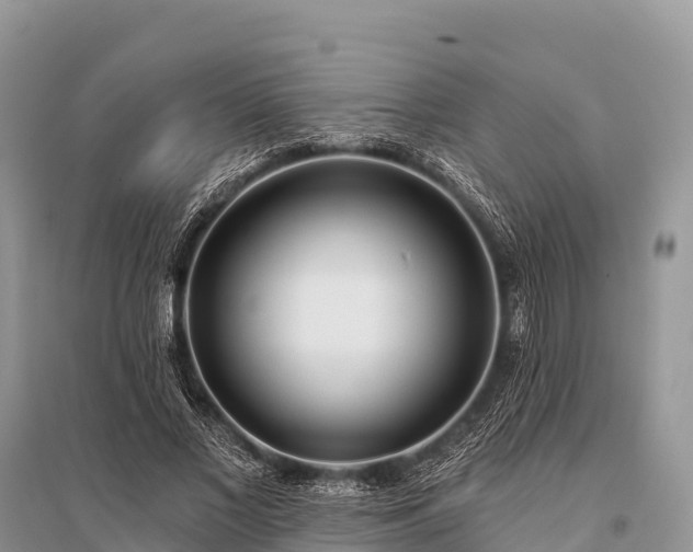 X0000096150685200801251105