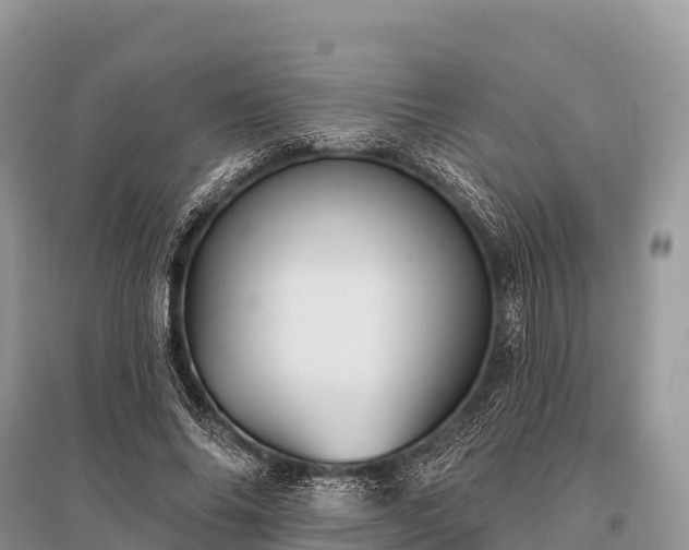 X0000096150686200801251105