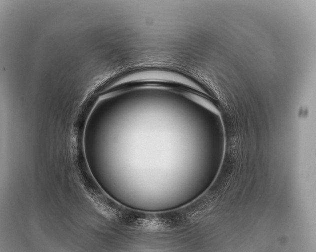 X0000096150688200801251105