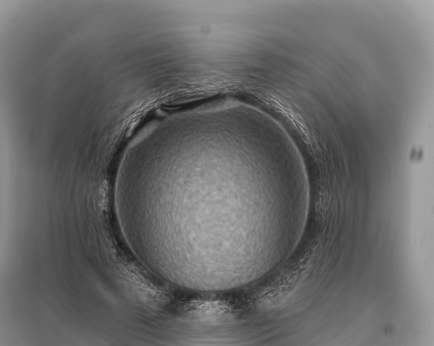 X0000096150689200801251105