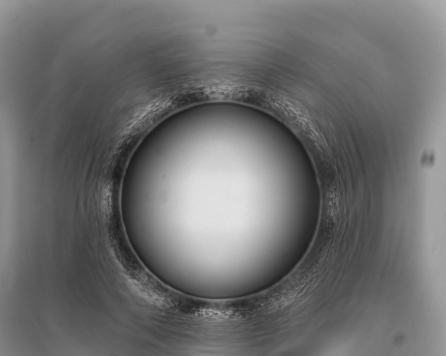 X0000096150690200801251105