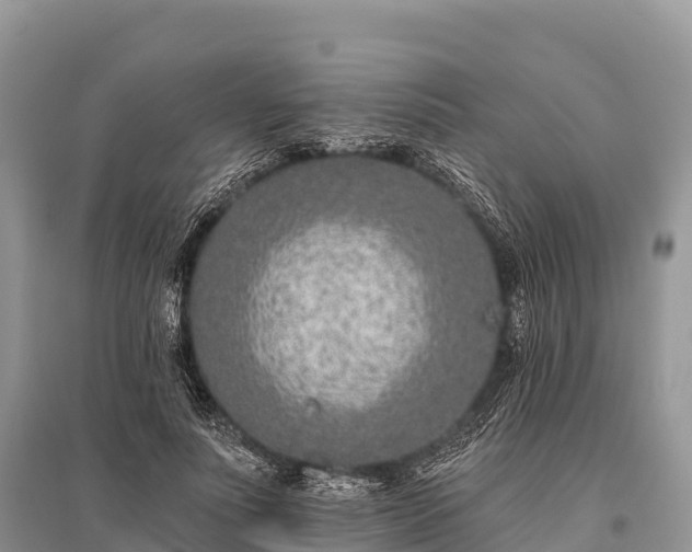 X0000096150691200801251105
