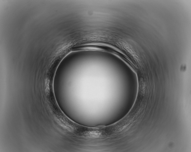 X0000096150692200801251105