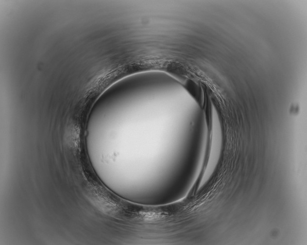 X0000096150693200801251105