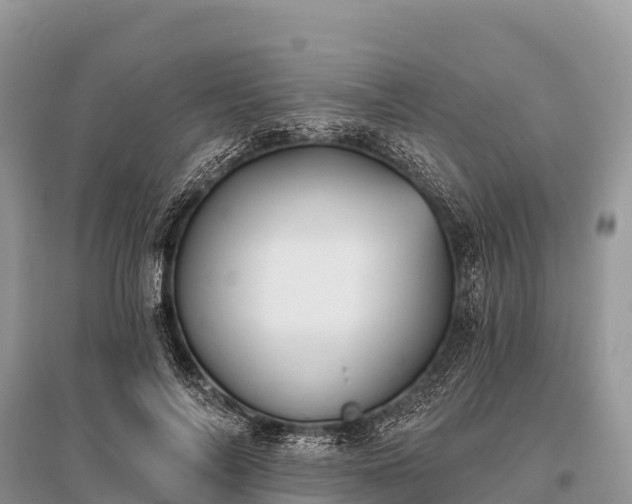X0000096150694200801251105