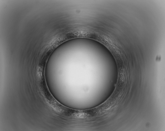 X0000096150695200801251105