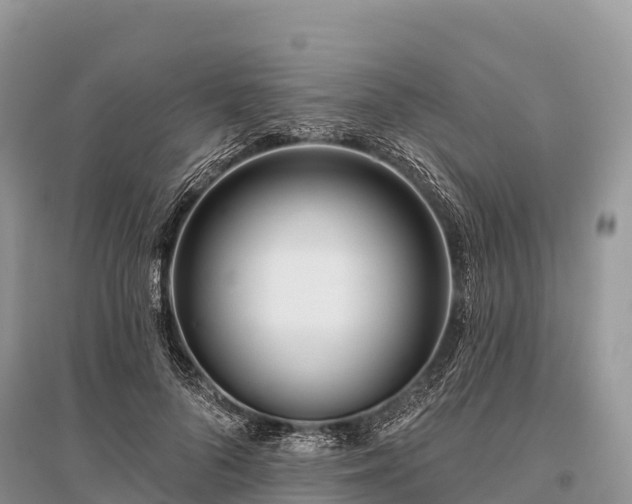 X0000096150696200801251105