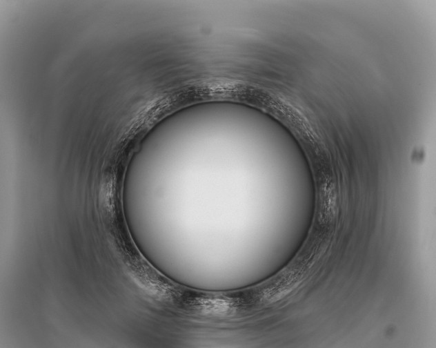 X0000096150698200801251105