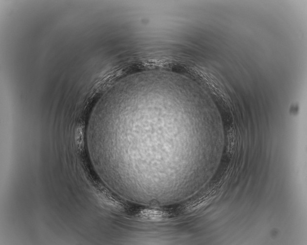 X0000096150699200801251105