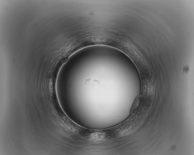 X0000096150700200801251104