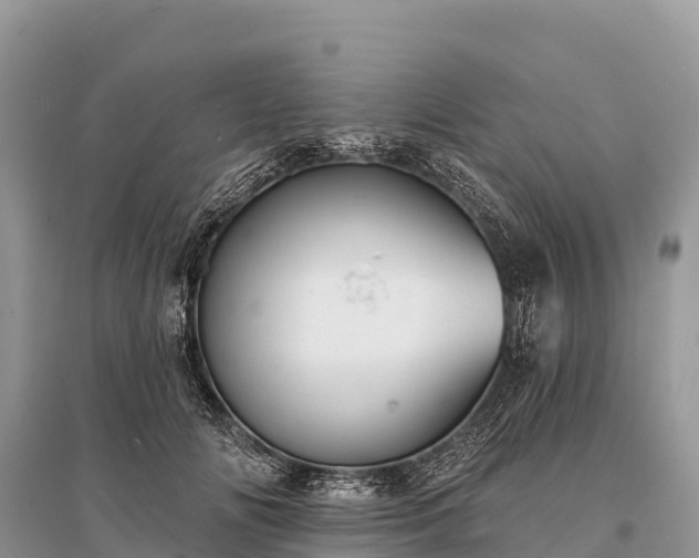 X0000096150702200801251104