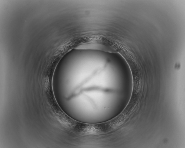 X0000096150704200801251104