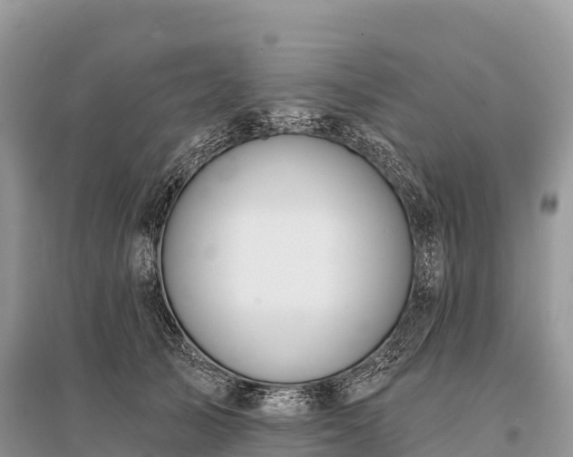 X0000096150705200801251104