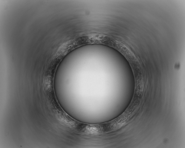 X0000096150706200801251104