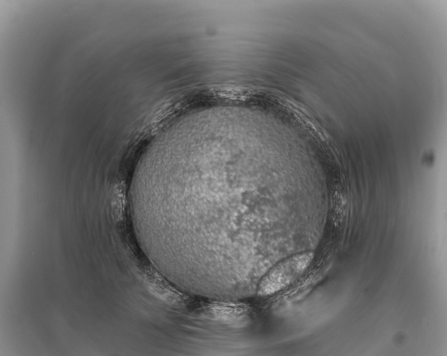 X0000096150707200801251104