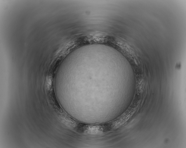 X0000096150709200801251104