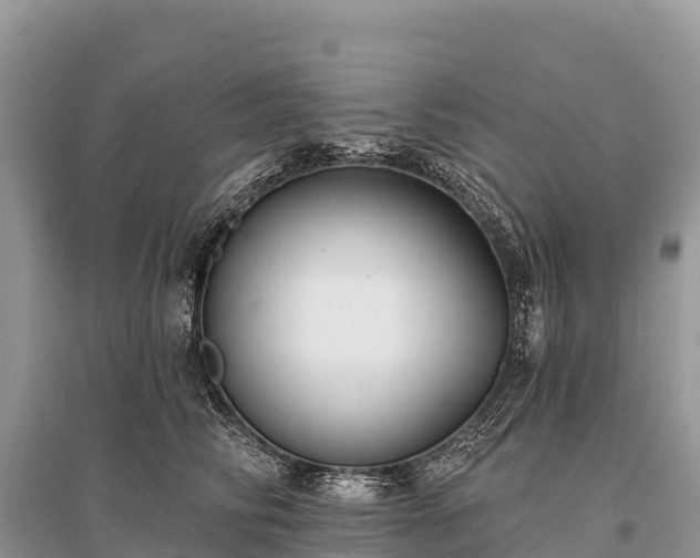 X0000096150710200801251104