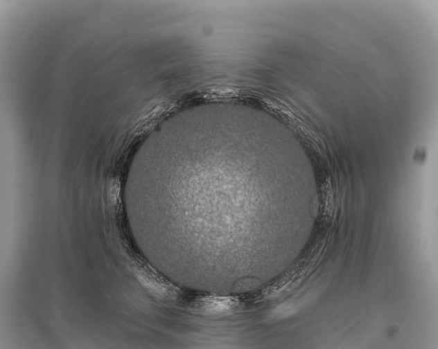 X0000096150711200801251104