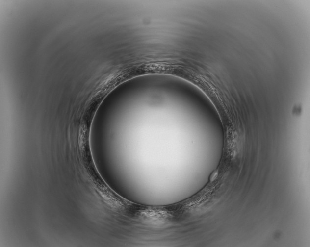 X0000096150712200801251104