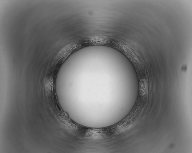 X0000096150713200801251104