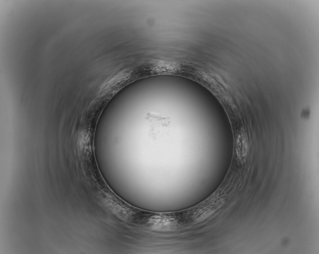 X0000096150714200801251104