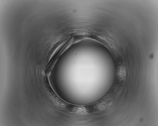 X0000096150715200801251104