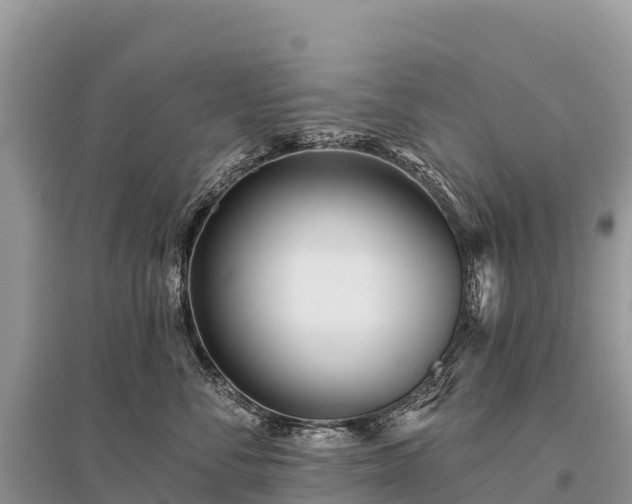 X0000096150716200801251104
