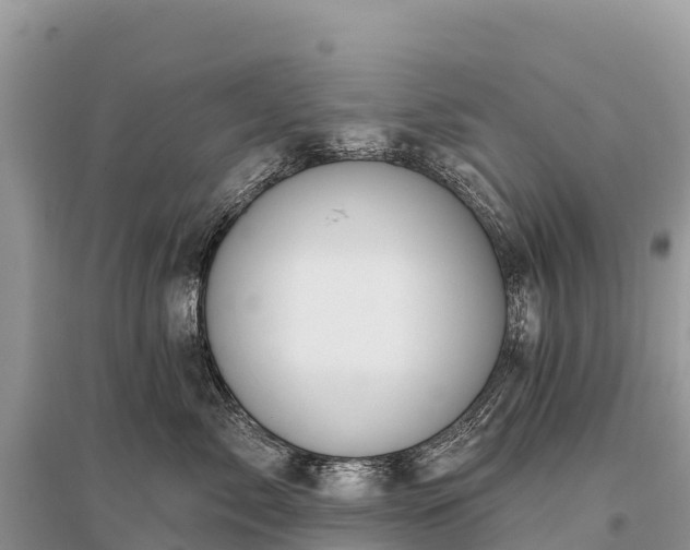 X0000096150717200801251104