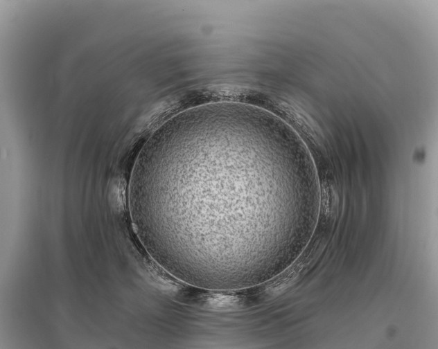 X0000096150718200801251104