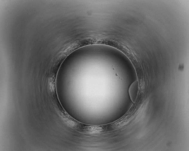 X0000096150719200801251104