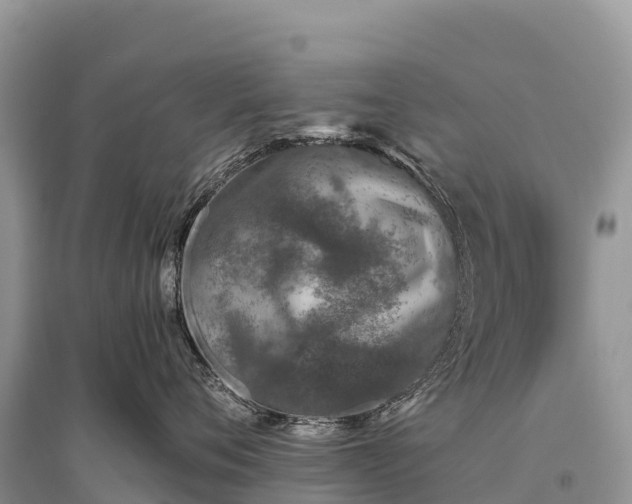 X0000096150720200801251104